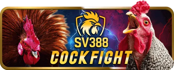 Ưu đãi chào mừng thành viên mới VIP66